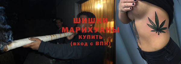 СК Михайлов